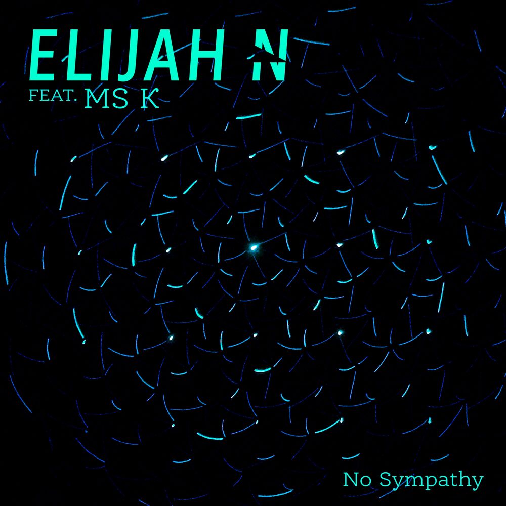 Picture of No Sympathy