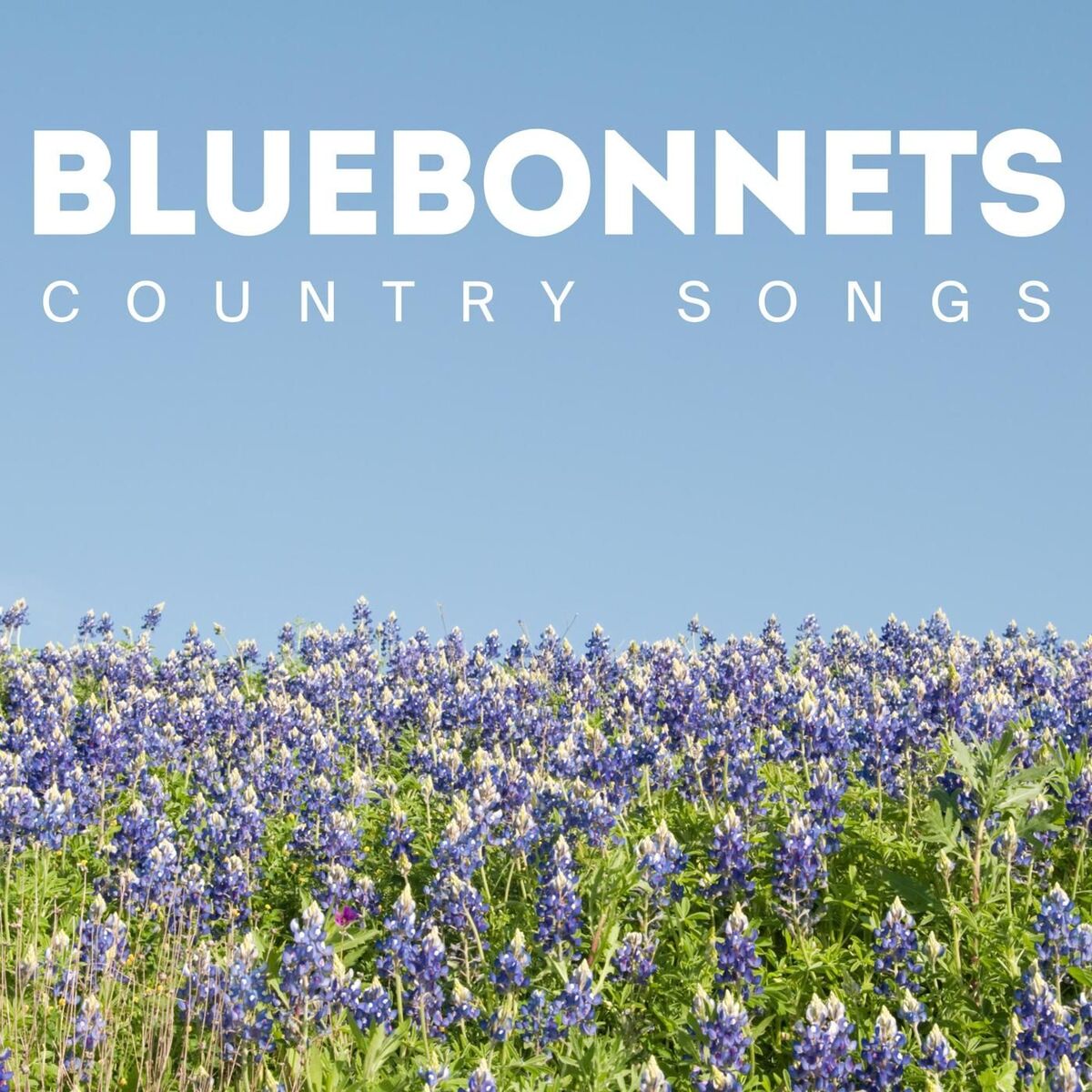 Album cover of Bluebonnets: Country Songs