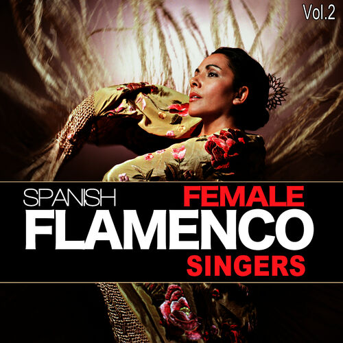 Nouveau Flamenco - Amazon.com Music