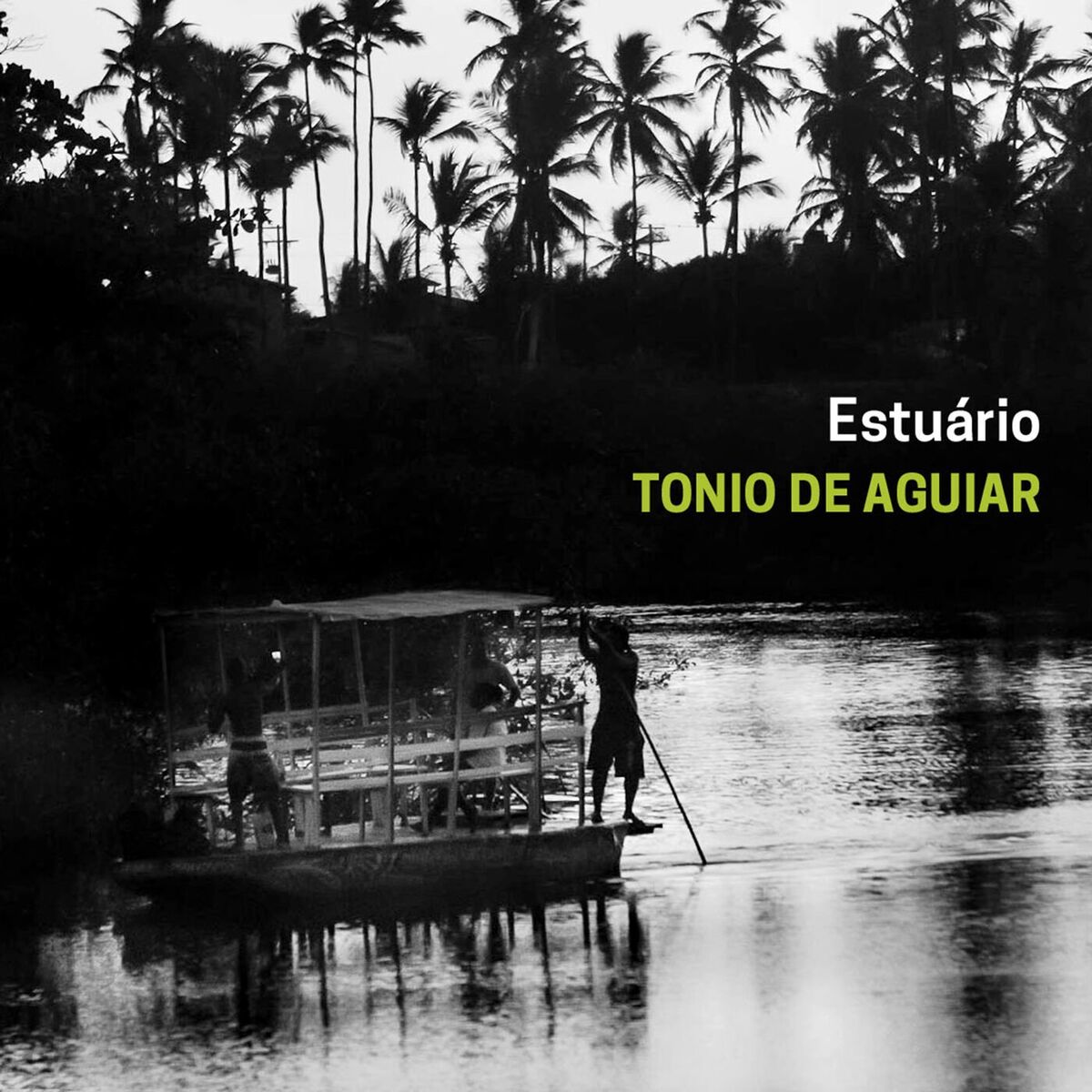 Album cover of Estuário