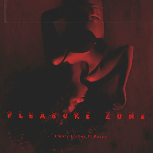 The Pleasure Zone (feat. Payso) [Radio Edit] artwork