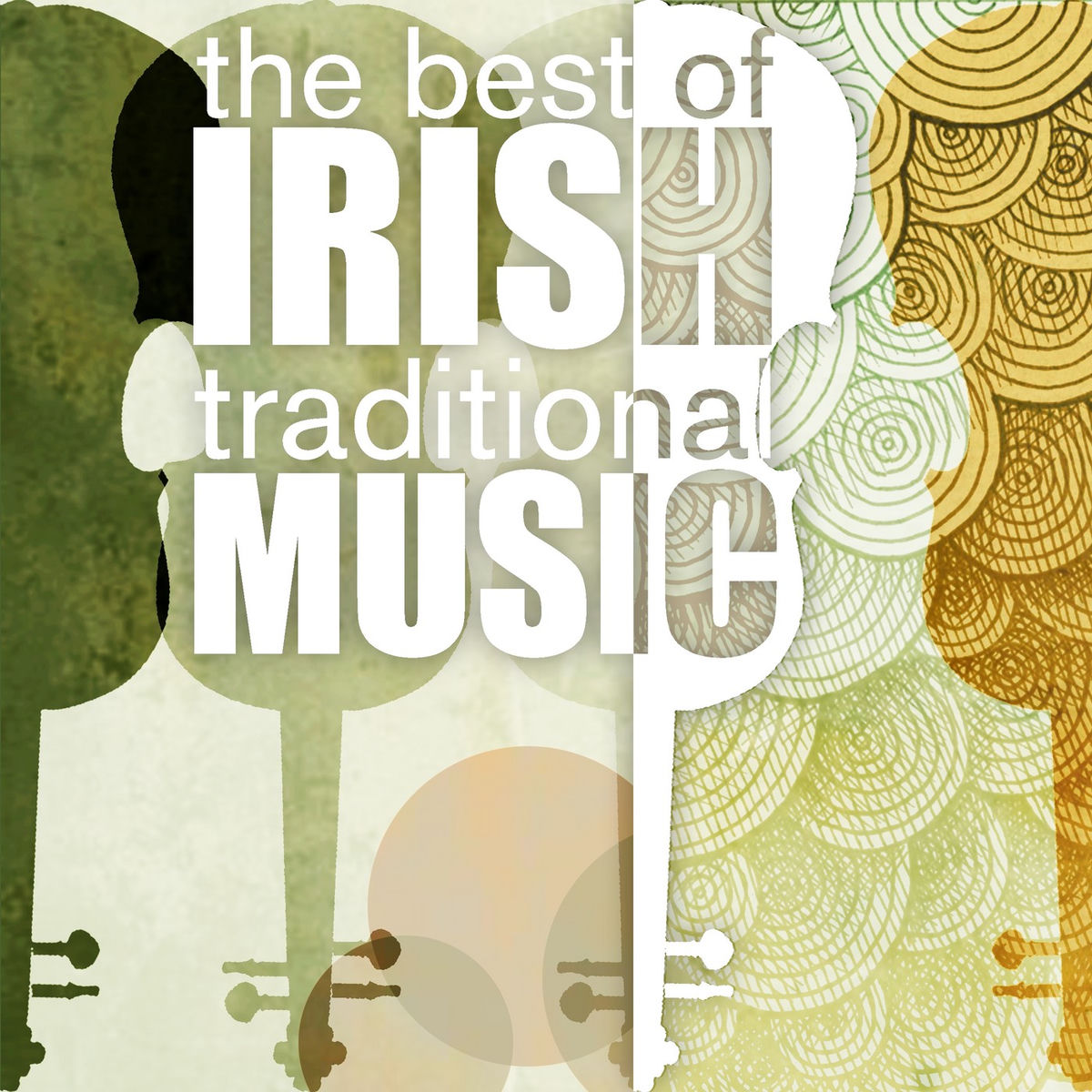 Album cover of The Best of Irish Traditional Music