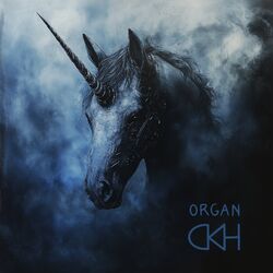 Cover of Organ