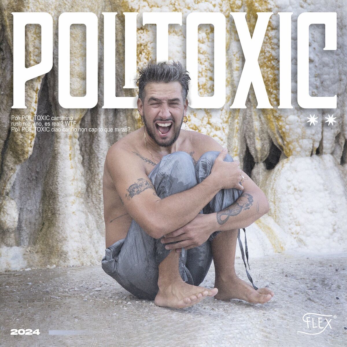 Album cover of Politoxic