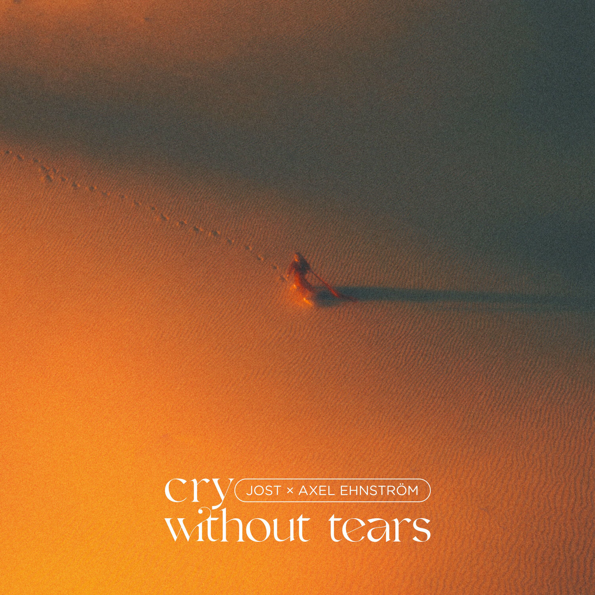 Album cover of Cry Without Tears