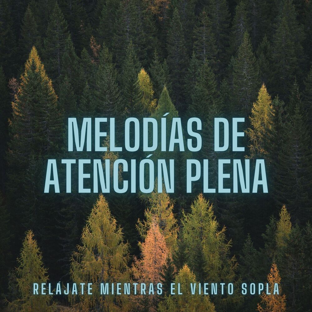 Picture of Melodías De Atención Plena: Relájate Mientras El Viento Sopla