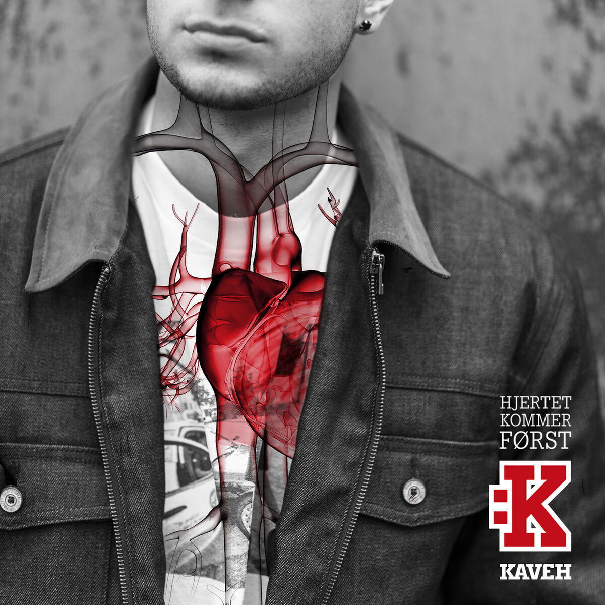 Album cover of Vill