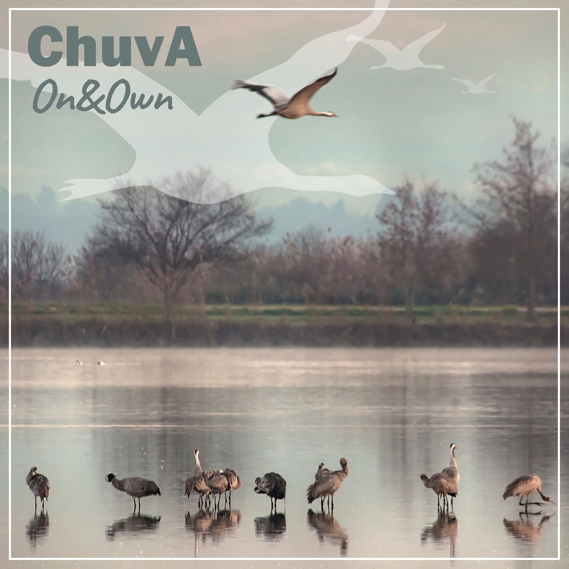 Album cover of On and Own