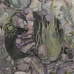 Cover of VOID