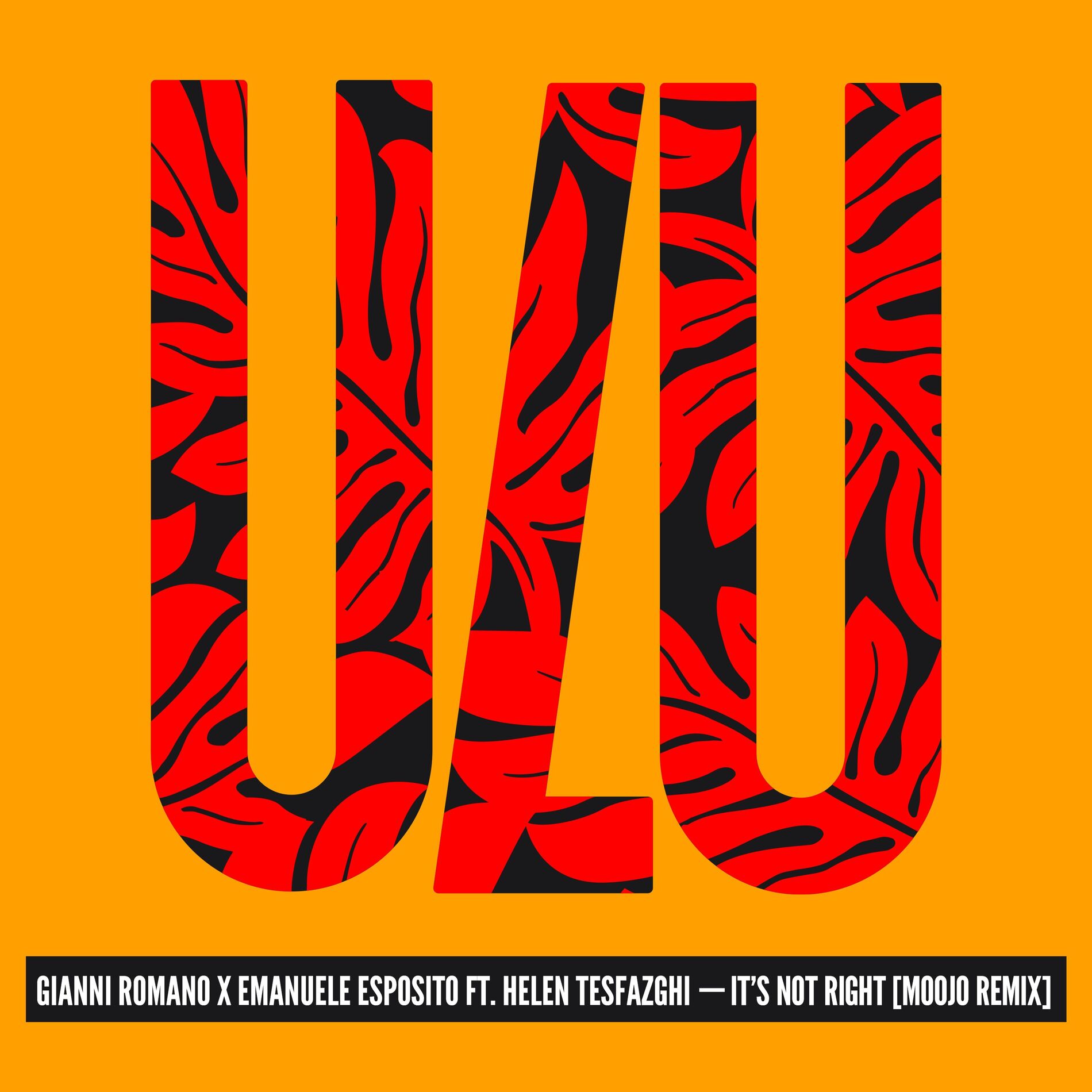 Album cover of It's Not Right (Moojo Remix)