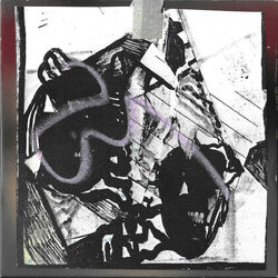 Cover of All Identical, None Complete