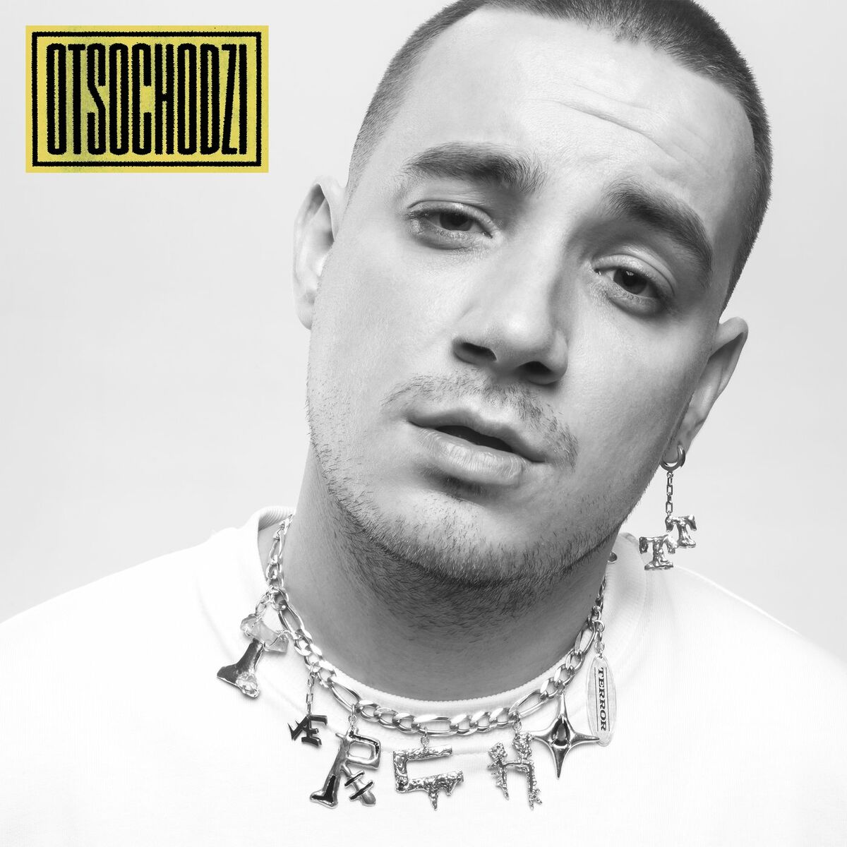 Album cover of Poj*bane Stany