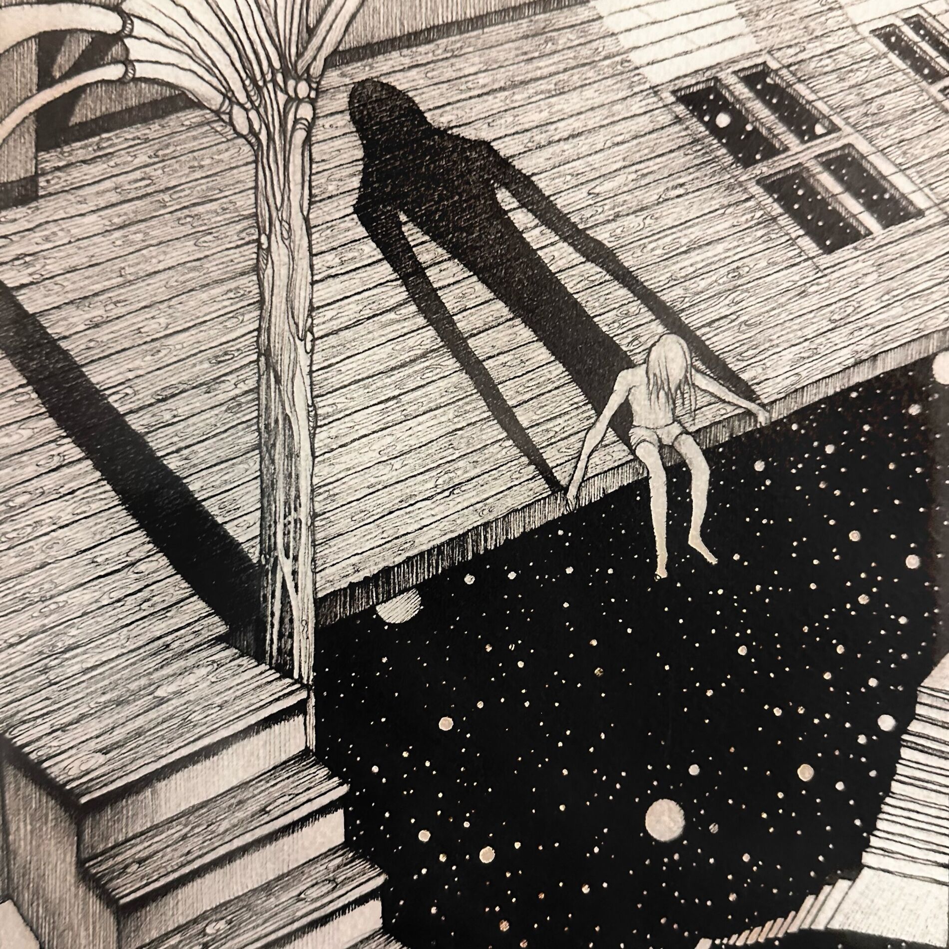 Album cover of swim