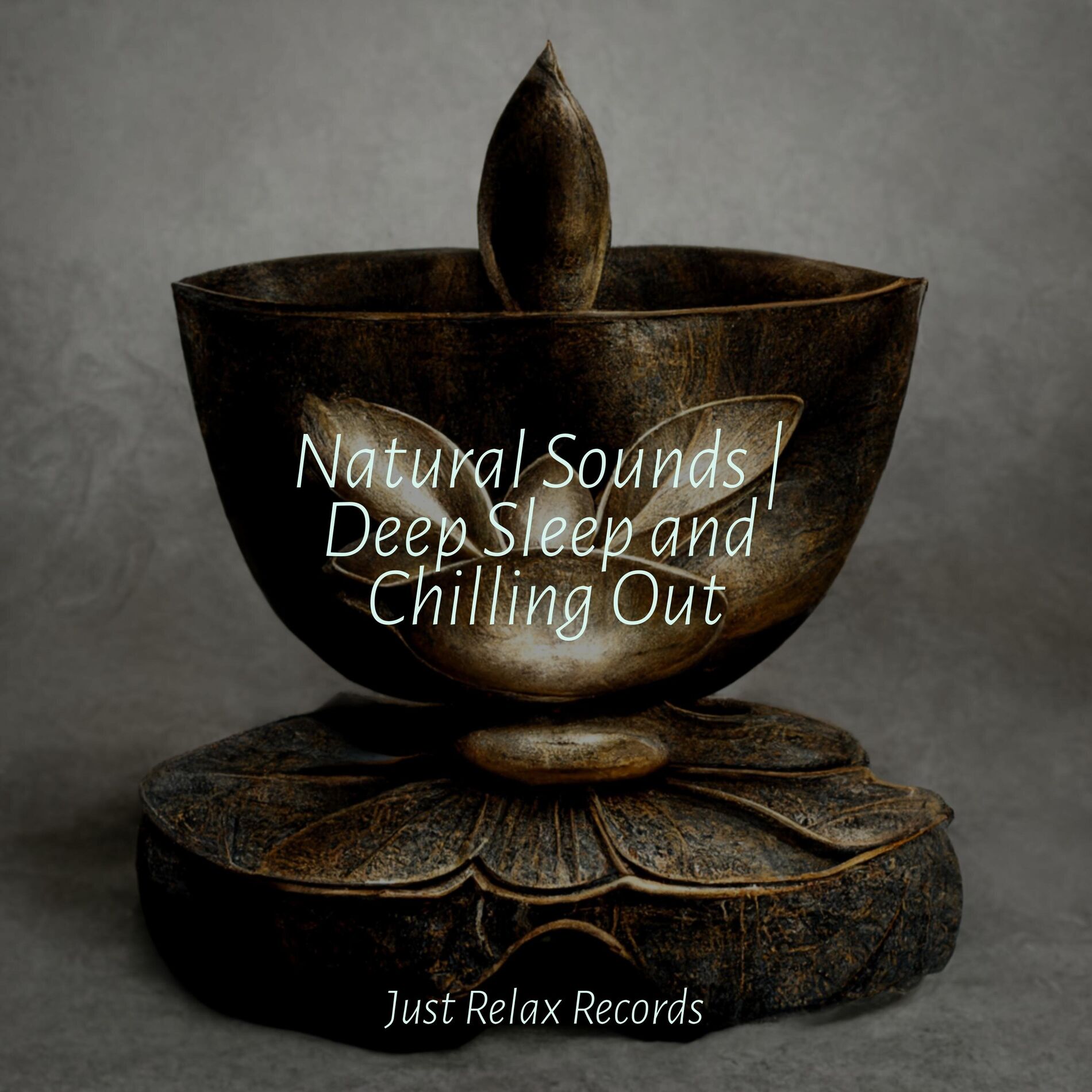 Album cover of Natural Sounds | Deep Sleep and Chilling Out