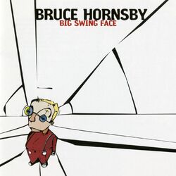 Cover of Big Swing Face