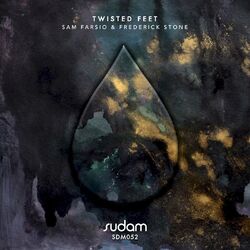 Cover of Twisted Feet