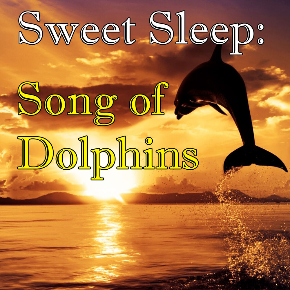 Picture of Sweet Sleep: Songs of Dolphins