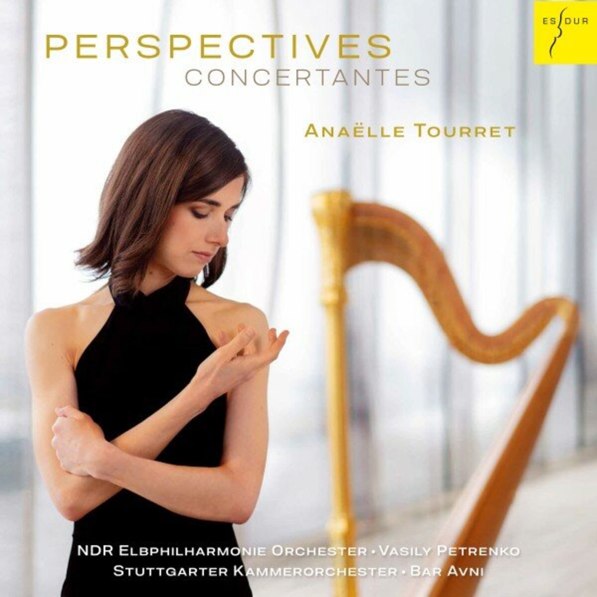 Album cover of Perspectives Concertantes