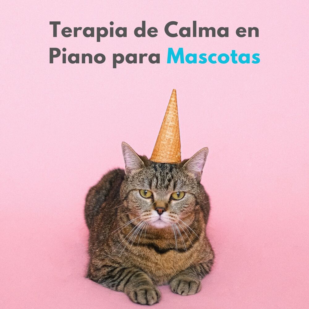 Picture of Terapia De Calma En Piano Para Mascotas