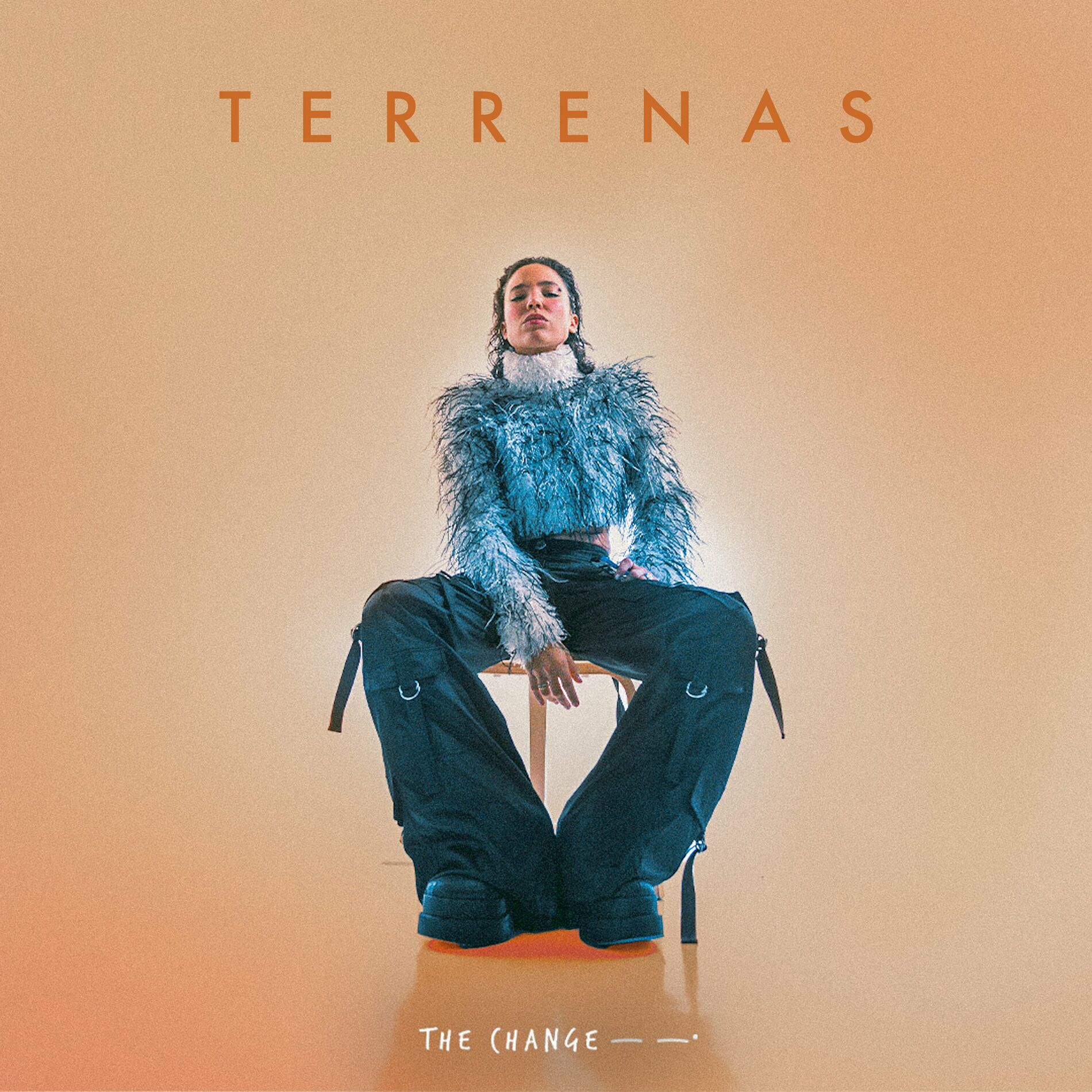 Album cover of Terrenas