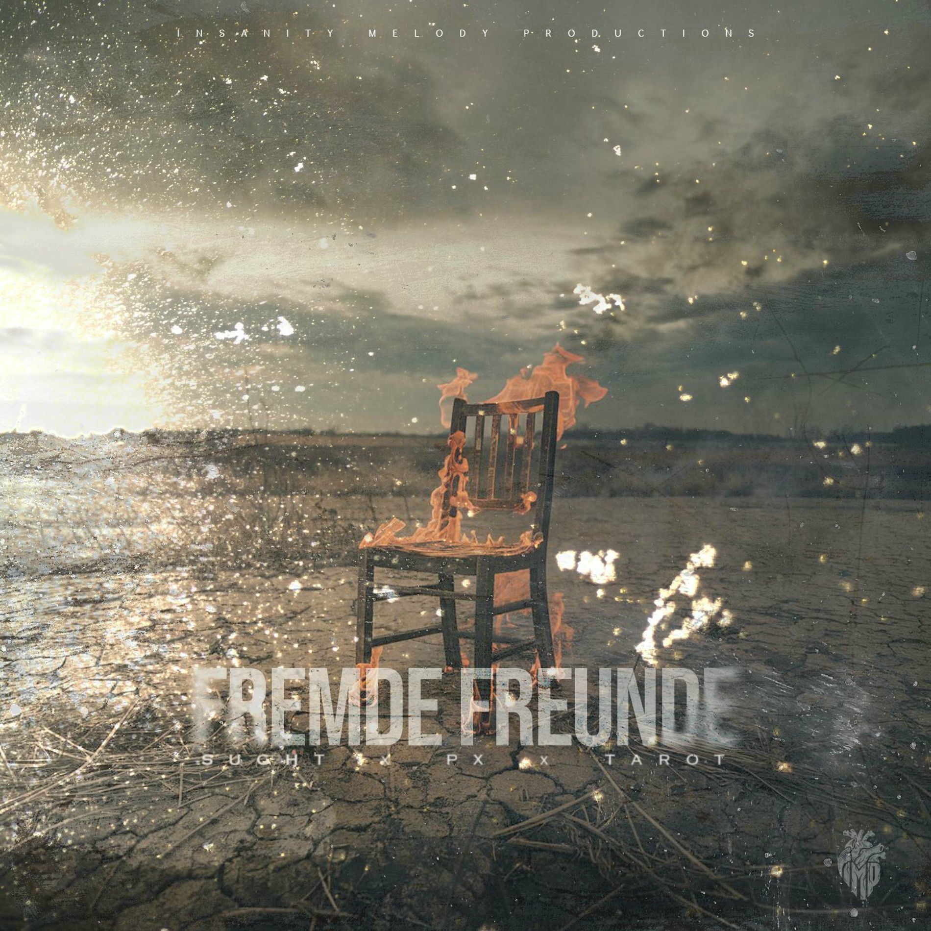 Album cover of Fremde Freunde (feat. pX)