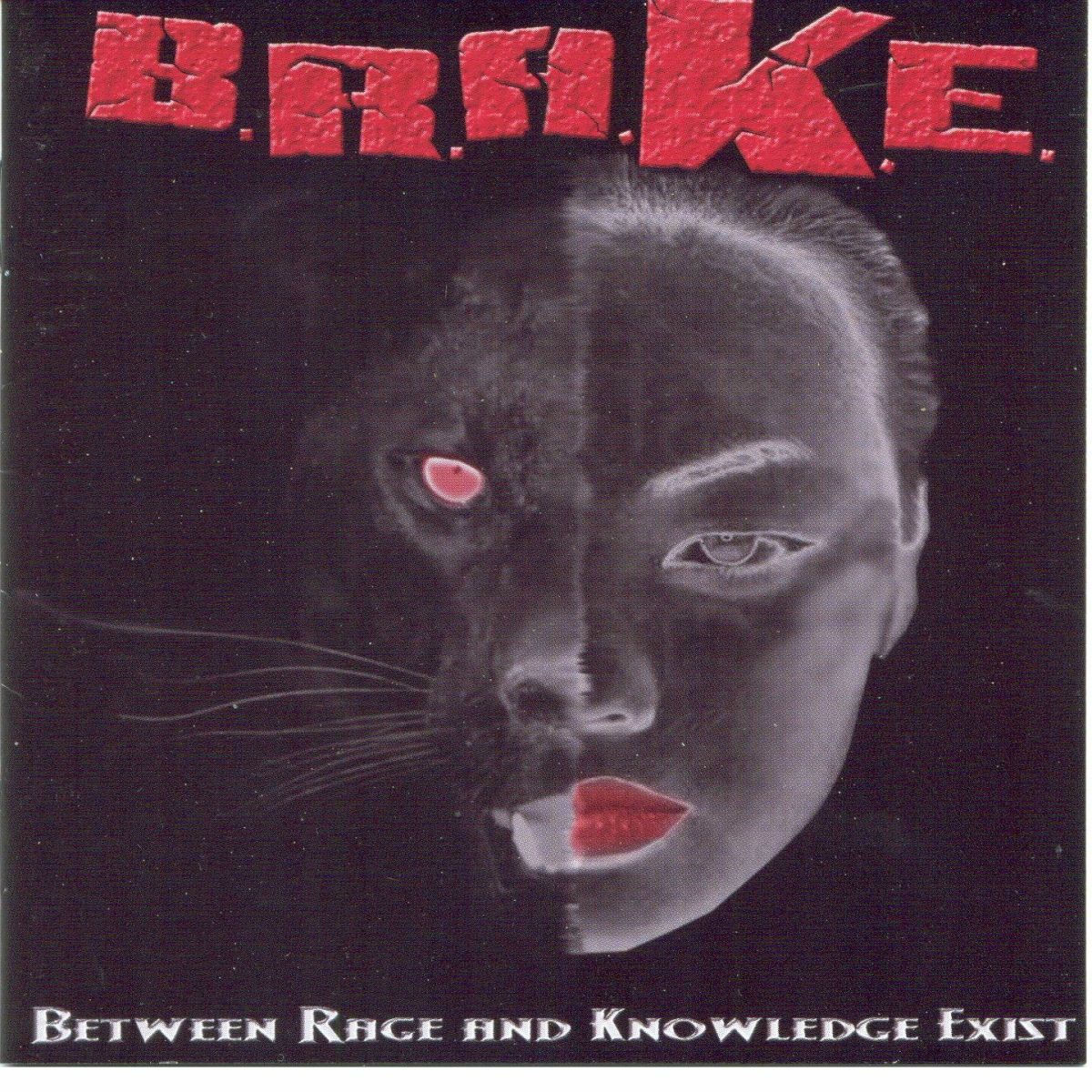Album cover of Between Rage and Knowledge Exist