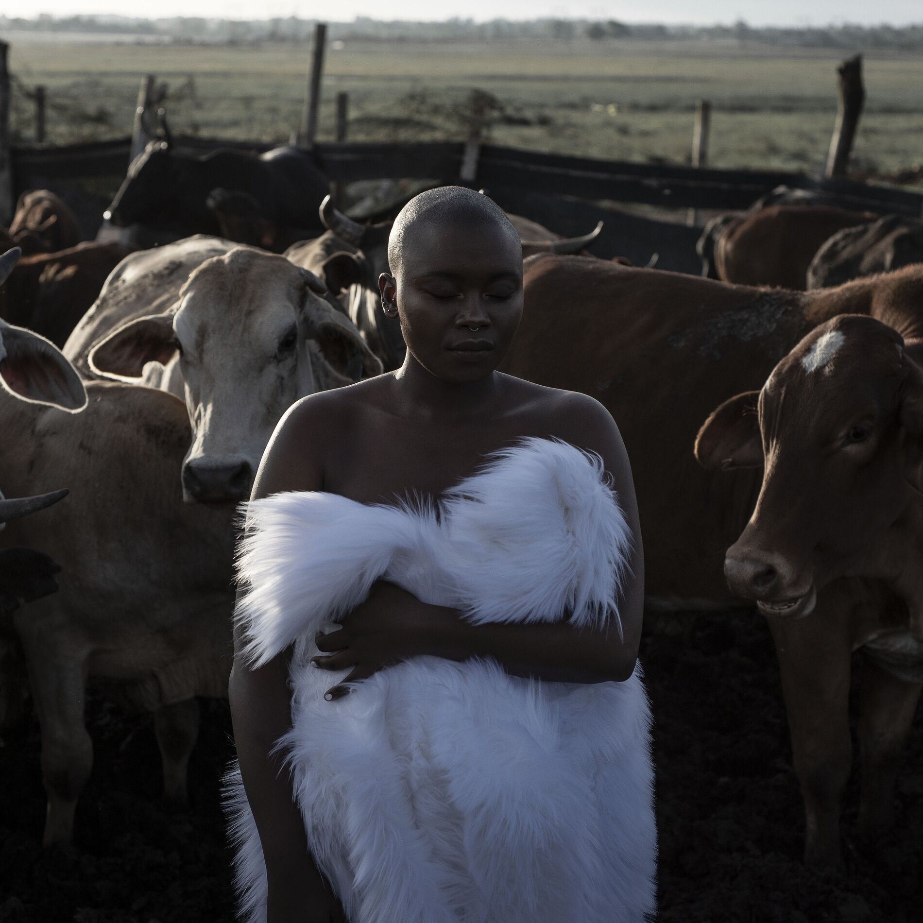 Album cover of INTSHA