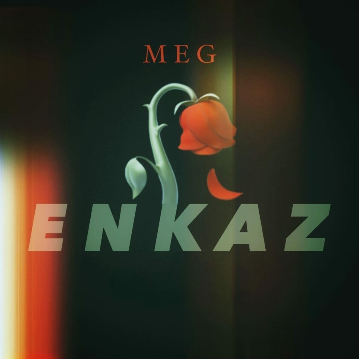 Album cover of Enkaz