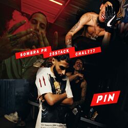 Cover of PIN
