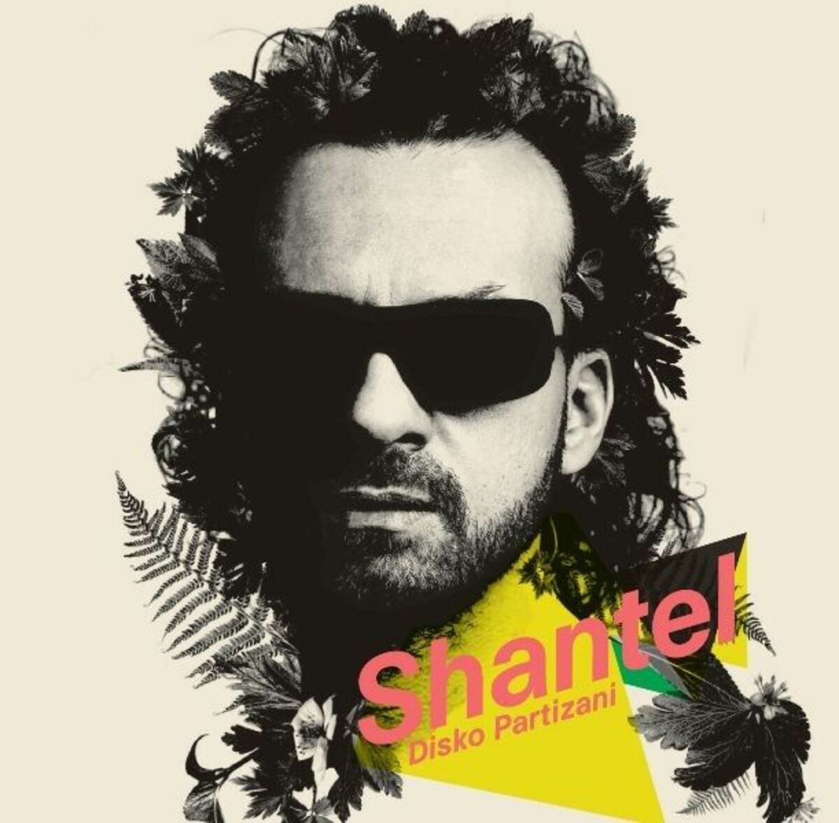 Album cover of Disko Partizani