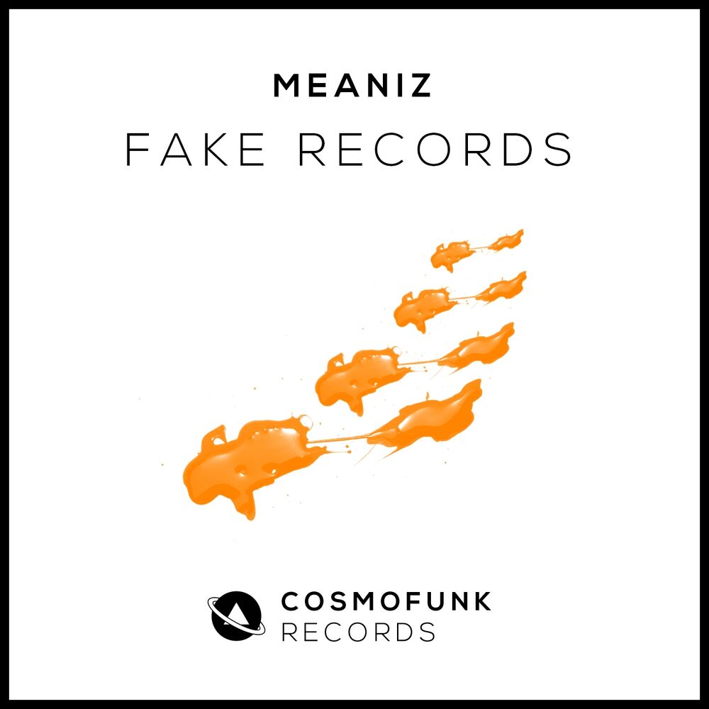 Picture of Fake Records