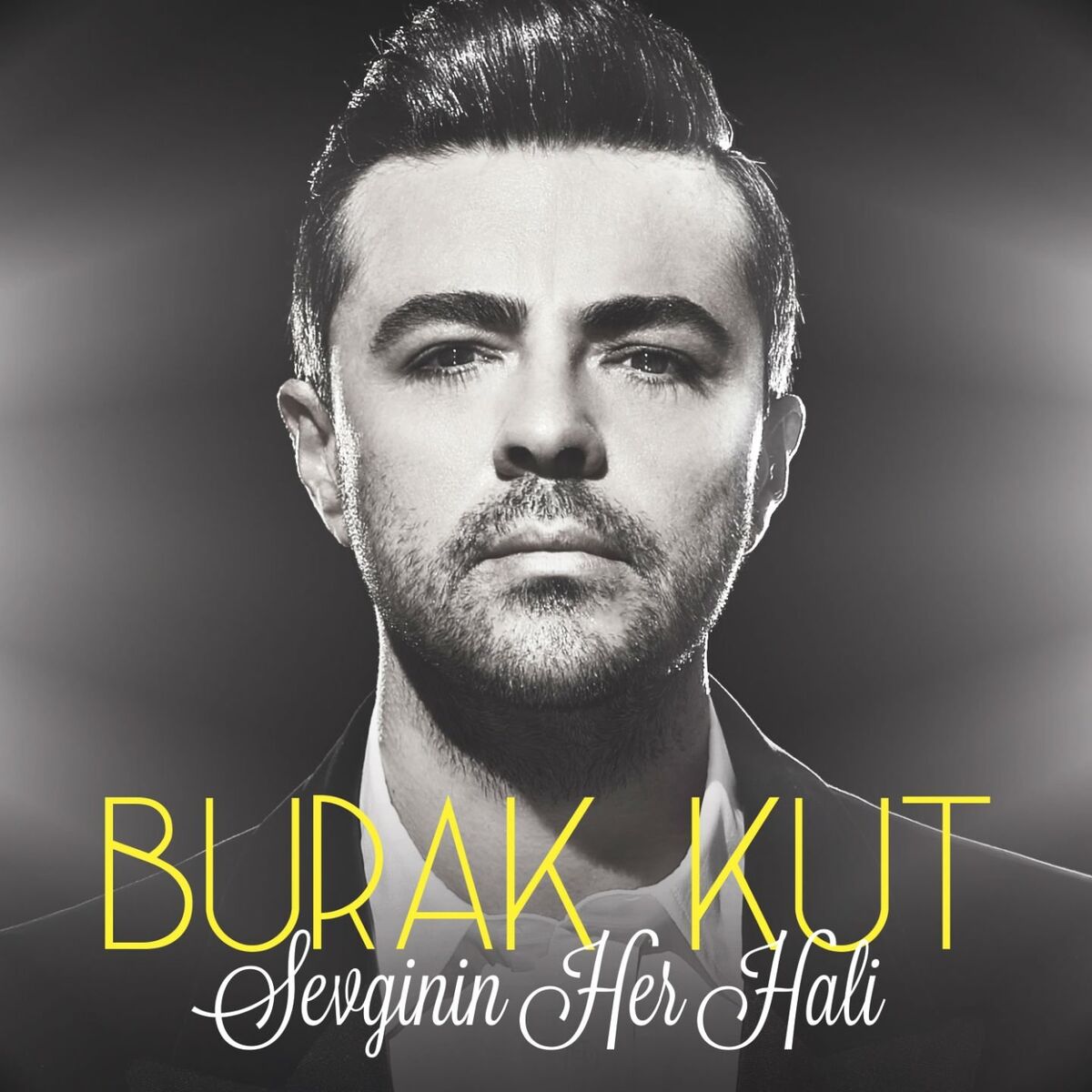 Album cover of Sevginin Her Hali