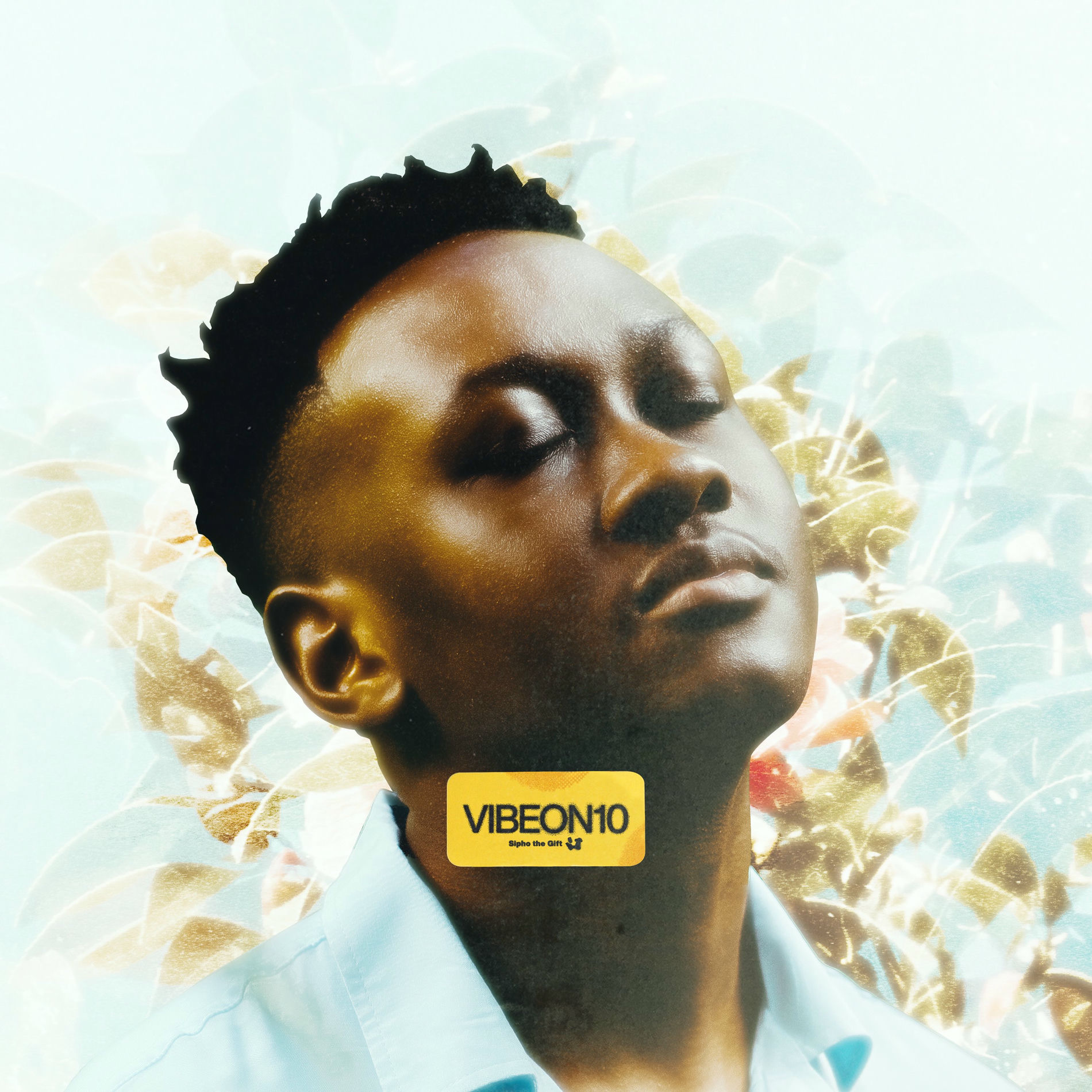 Album cover of VIBE ON 10