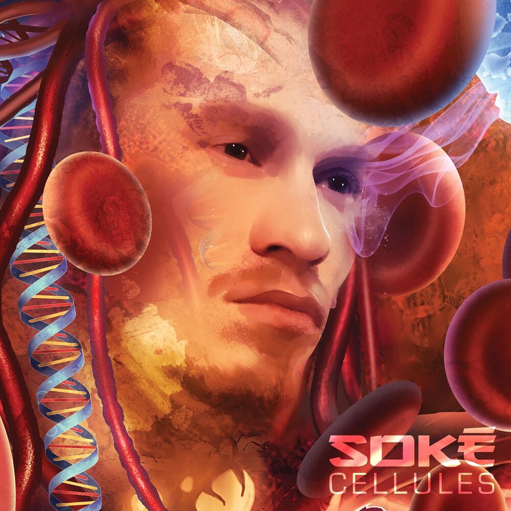Picture of Cellules