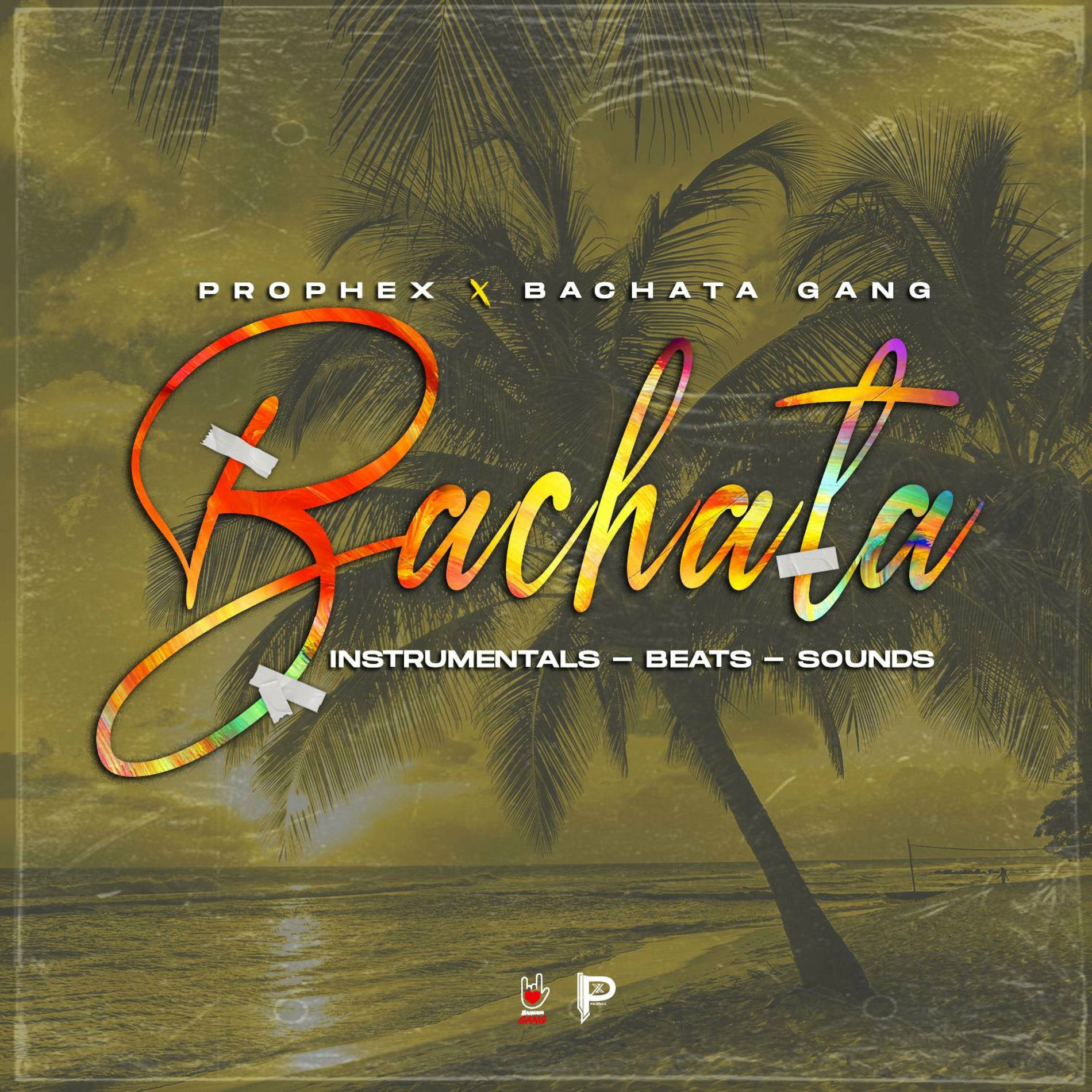 Album cover of BAchaTa BeaTs AnD iNsTrumentaLs