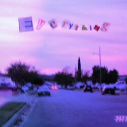 Cover of everything