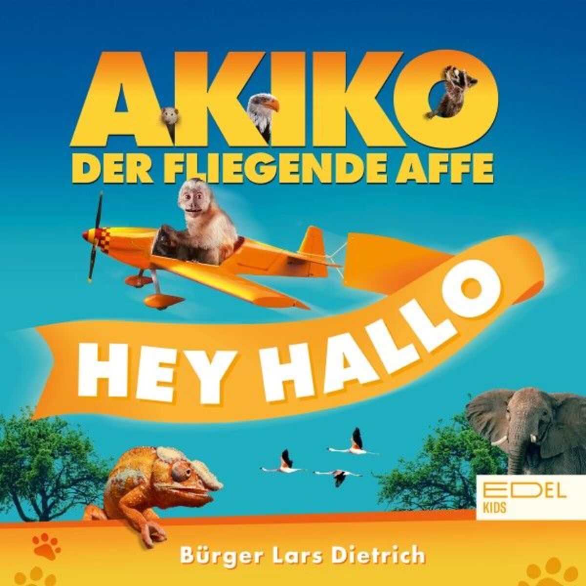 Album cover of Hey Hallo