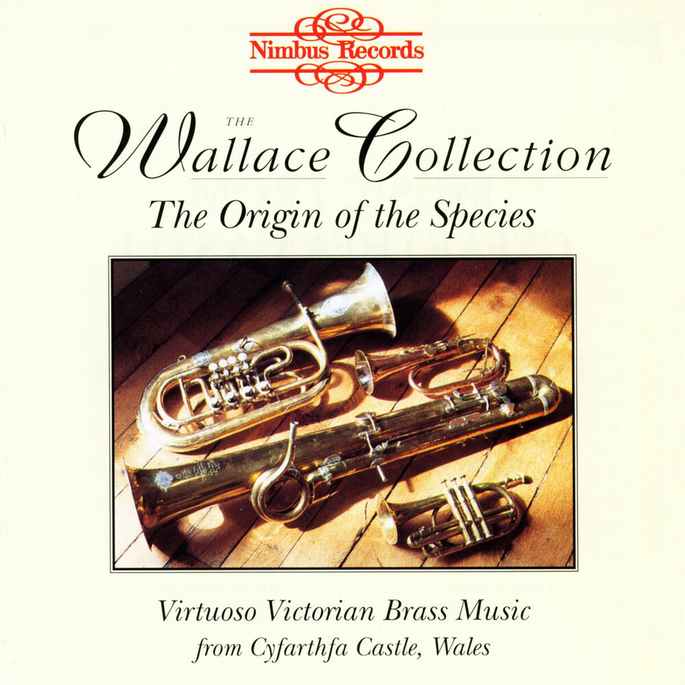 Picture of The Wallace Collection: The Origin of the Species