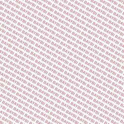 Cover of Baybi