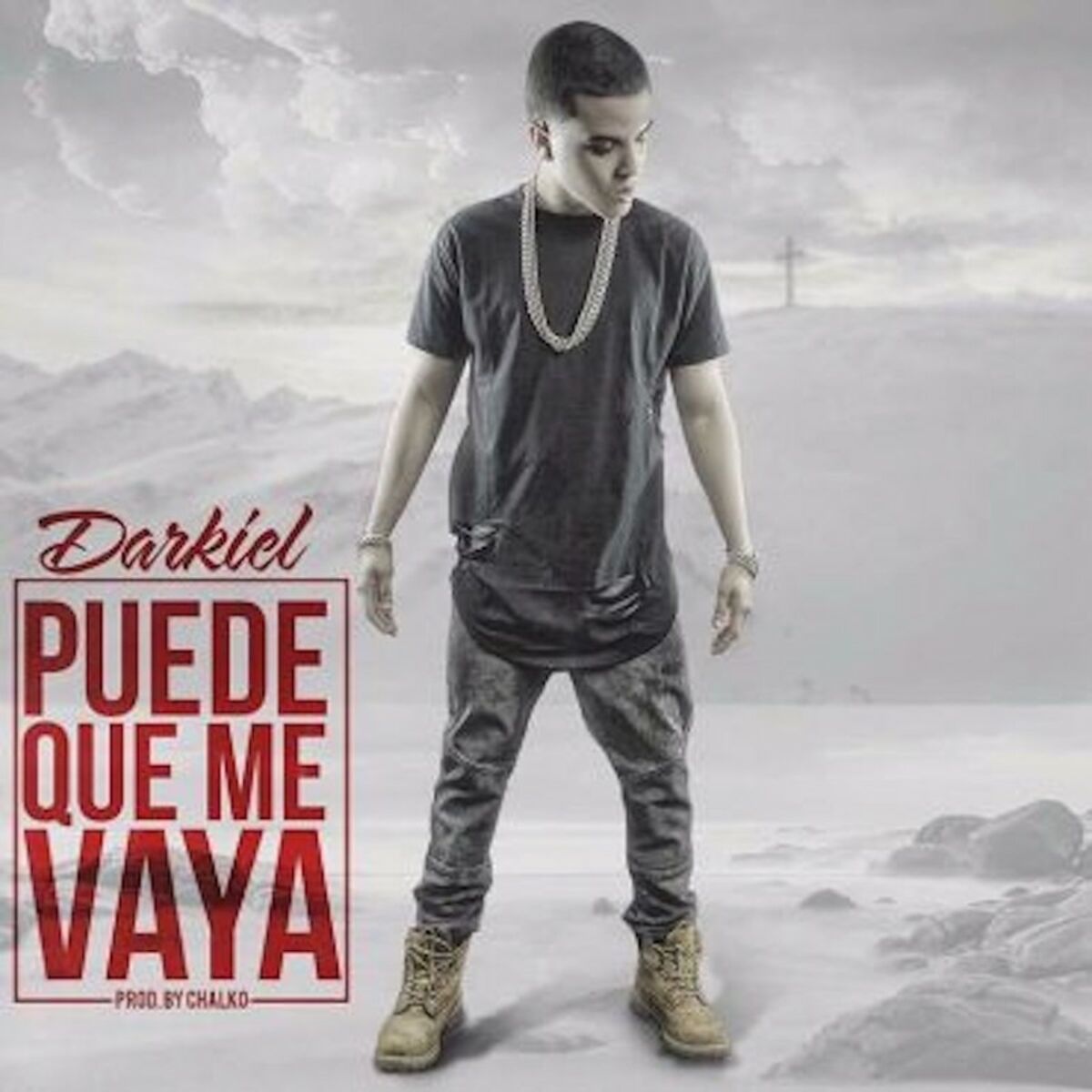 Album cover of Puede Que Me Vaya