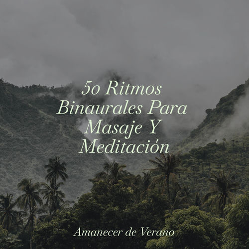 50 Ritmos Binaurales Para Masaje Y Meditación
