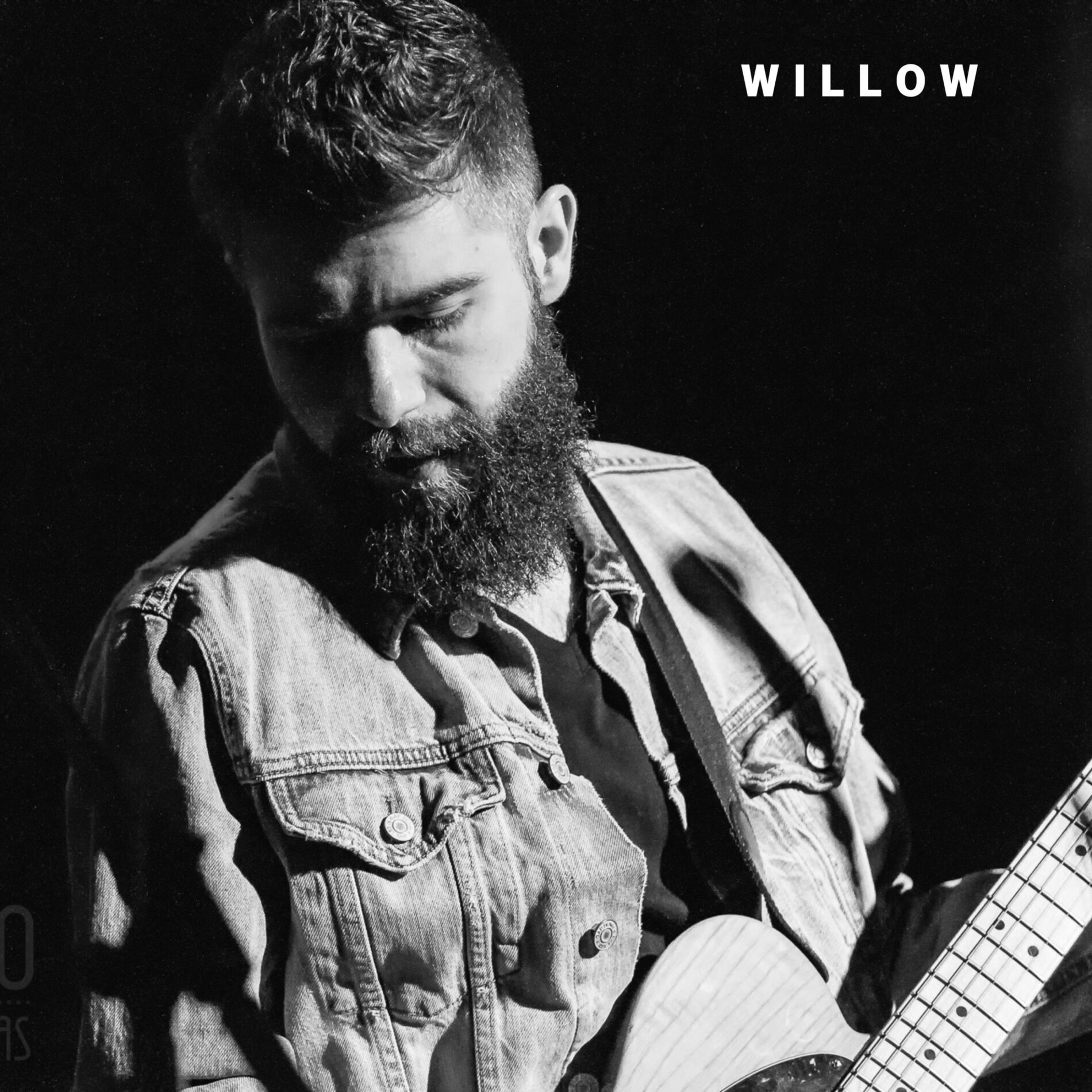 Album cover of Willow