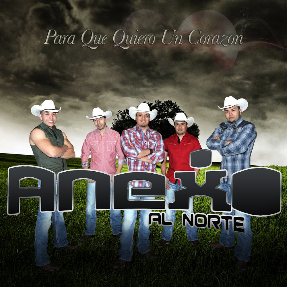 Picture of Para Que Quiero un Corazon