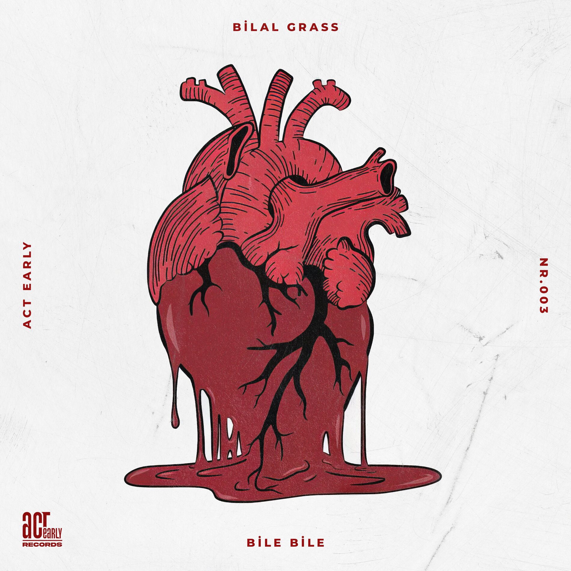Album cover of Bile Bile