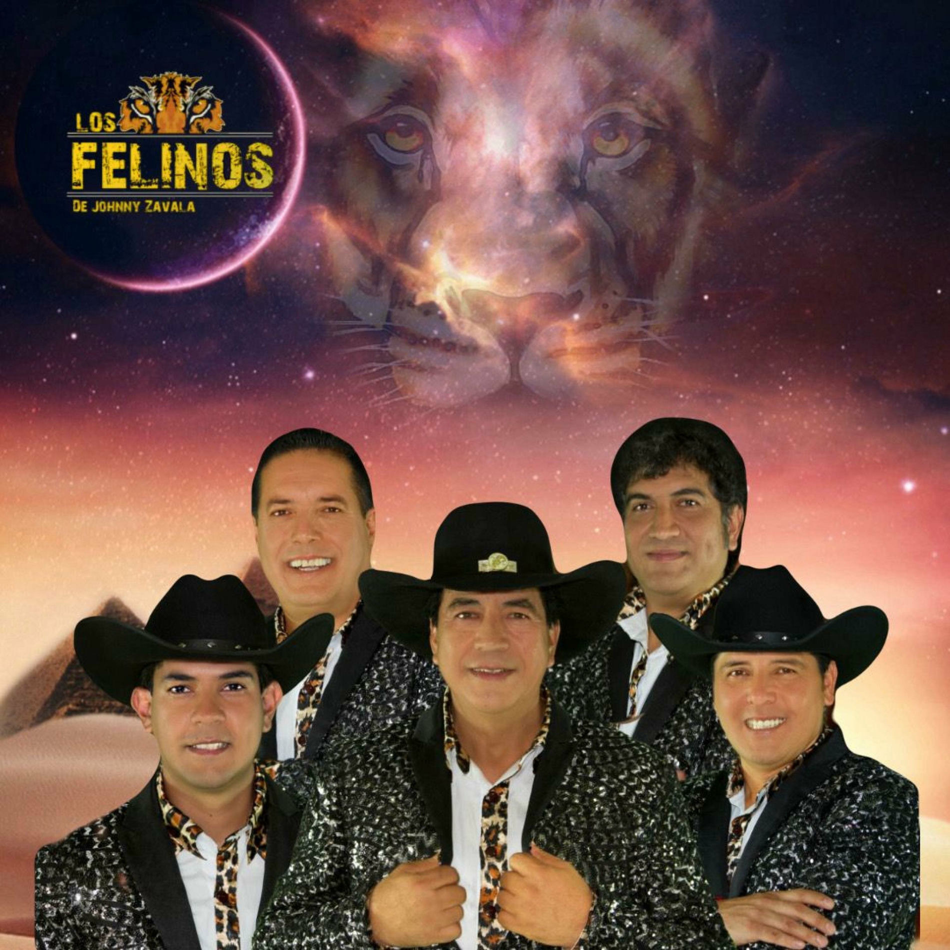 Album cover of Arreando La Mula
