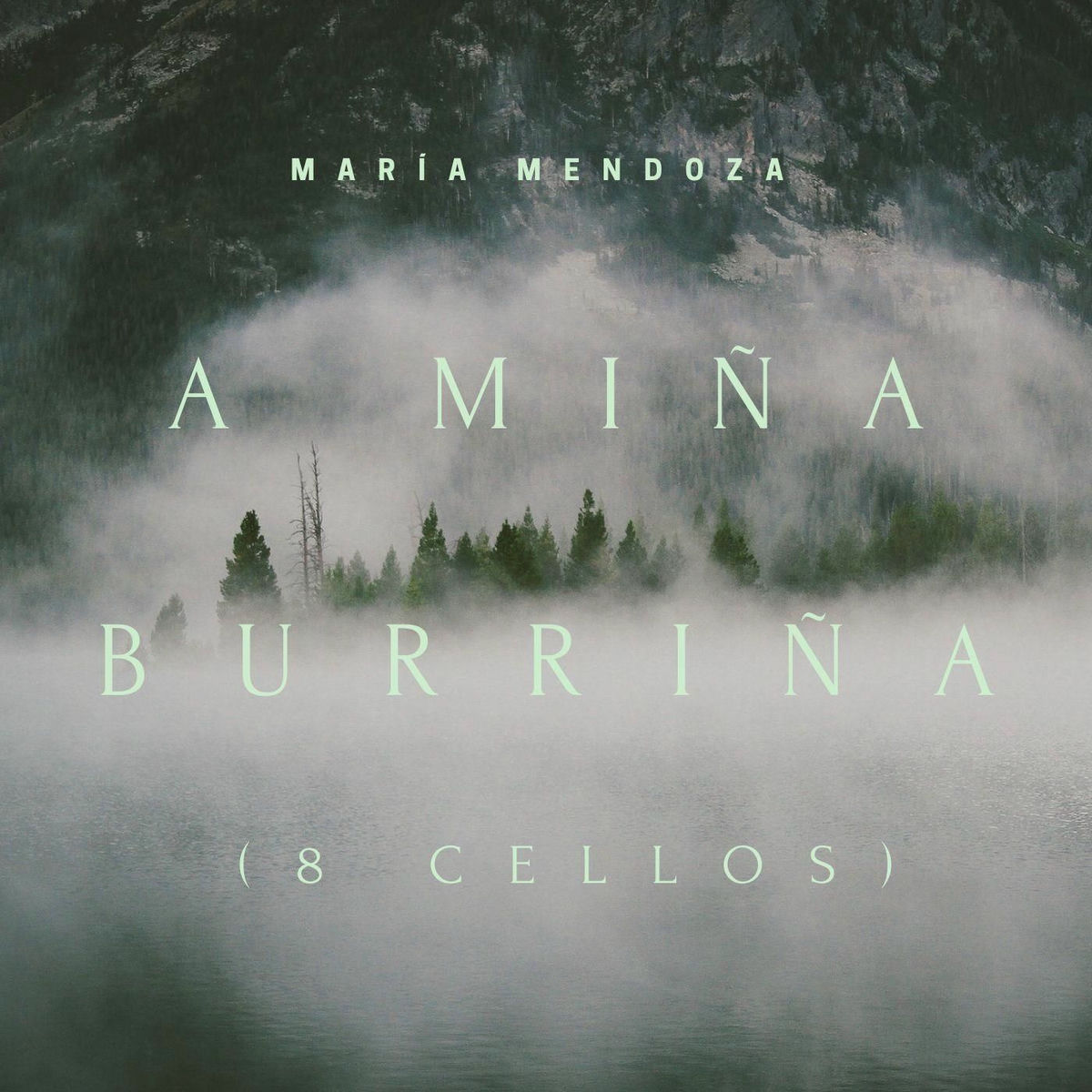 Album cover of A Miña Burriña (8 Cellos) [Live]