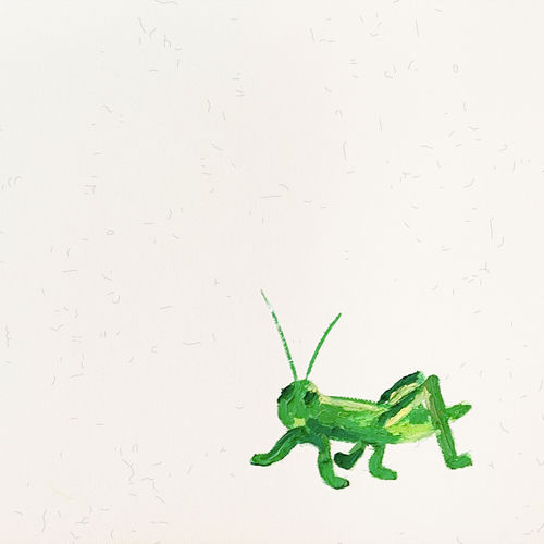 Grasshopper