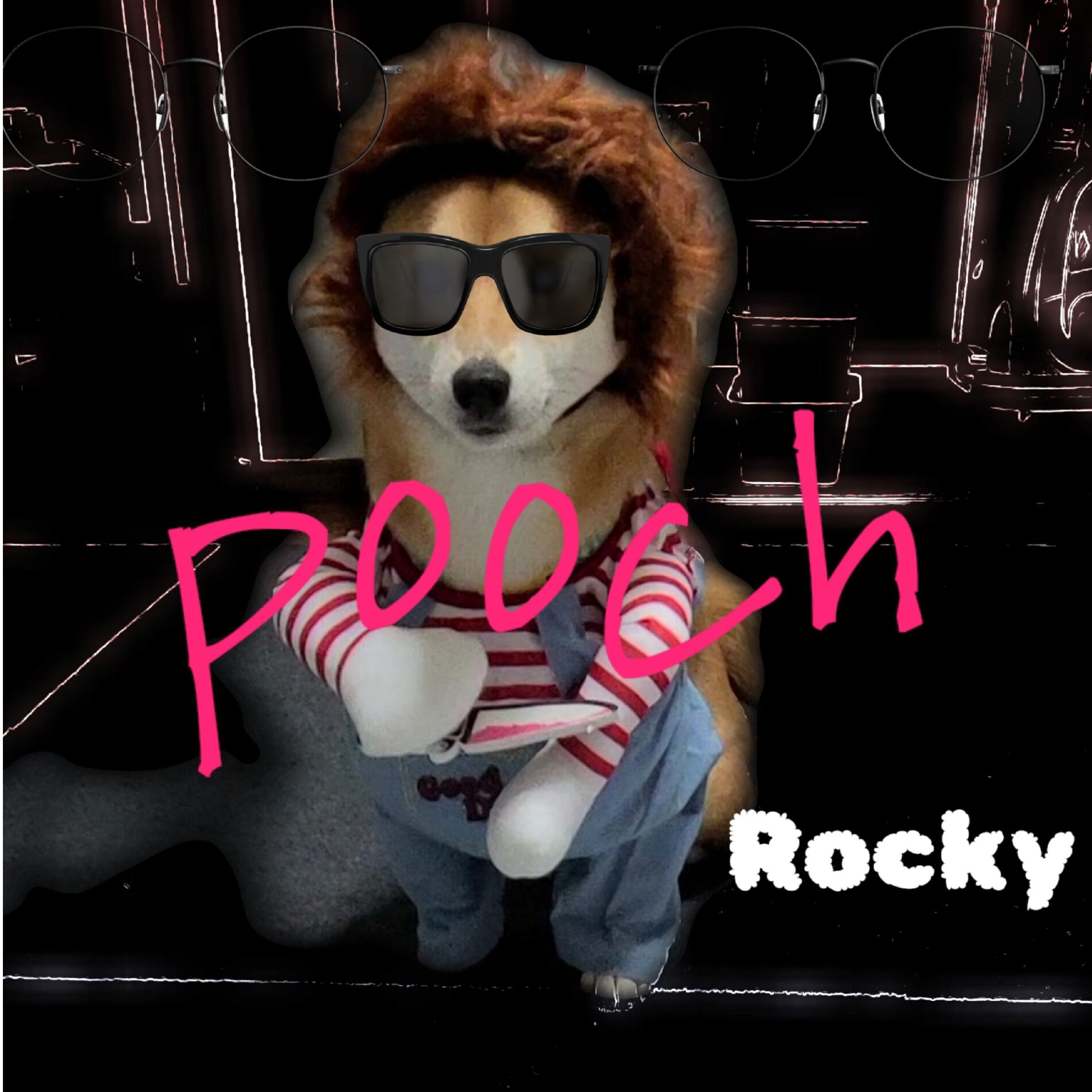 Album cover of Pooch