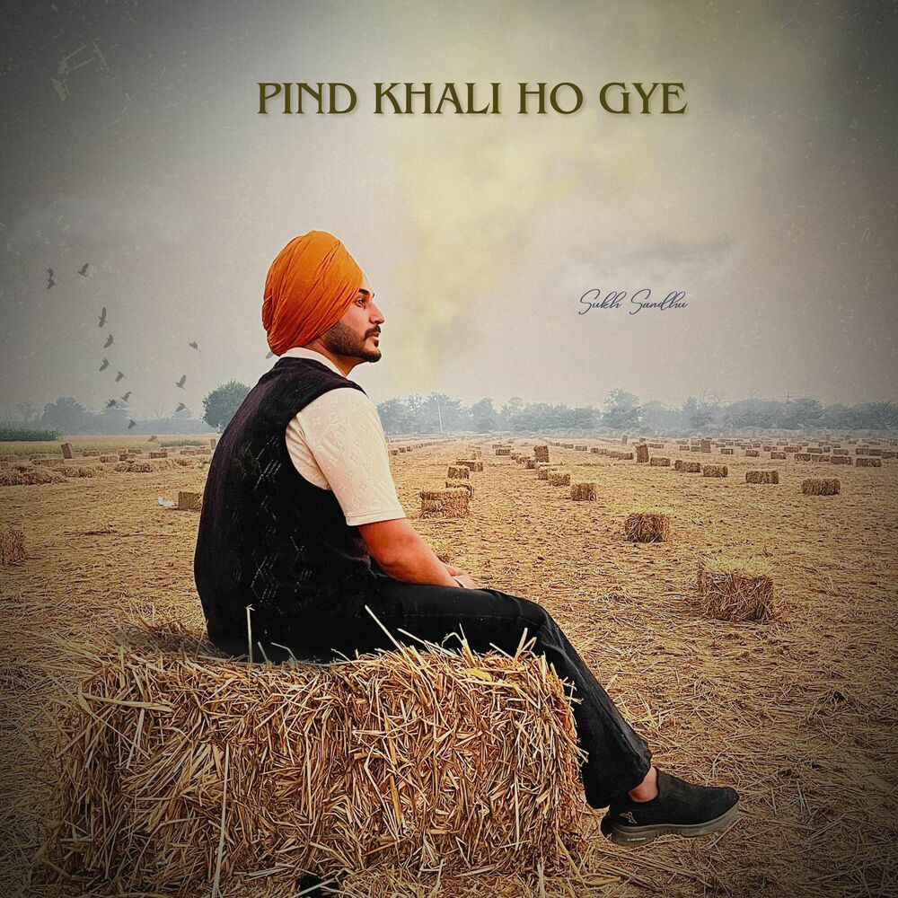 Picture of Pind Khali Ho Gye