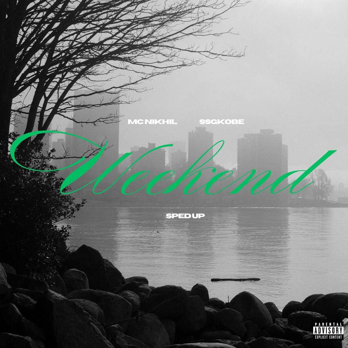 Album cover of Weekend Sped up